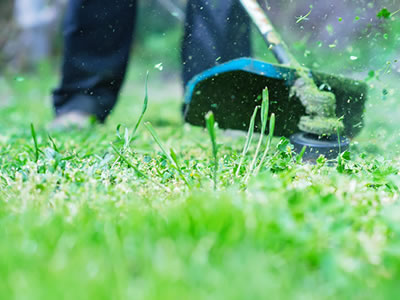 Grass Cutting Prices